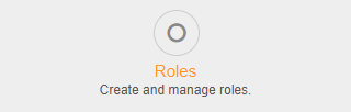 Admin Badge Role